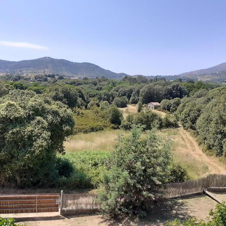 Charmante Maisonnette Situe Au Calme Proche D'Ajaccio. Afa Buitenkant foto