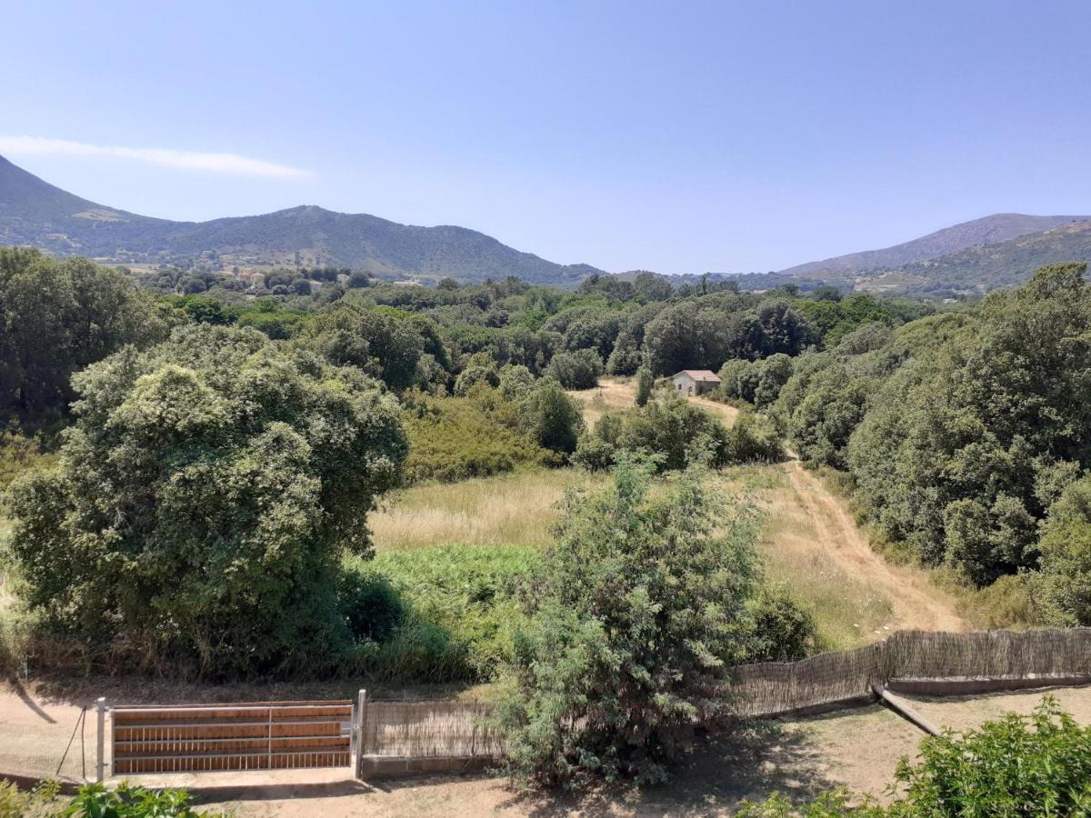 Charmante Maisonnette Situe Au Calme Proche D'Ajaccio. Afa Buitenkant foto